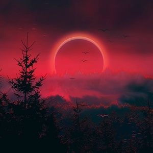 Meet your Posher, Tanya